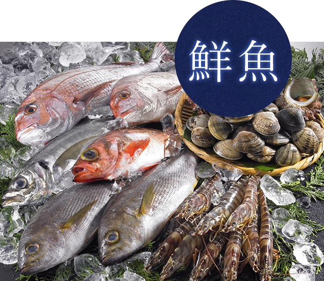 鮮魚