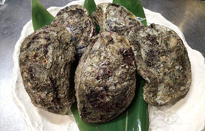 岩牡蠣
